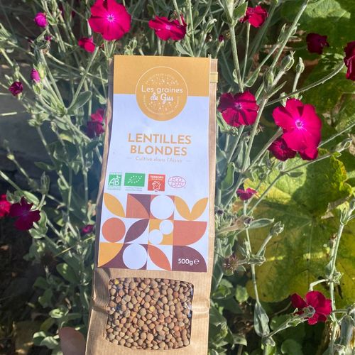 Photo de: Lentilles Blondes Bio